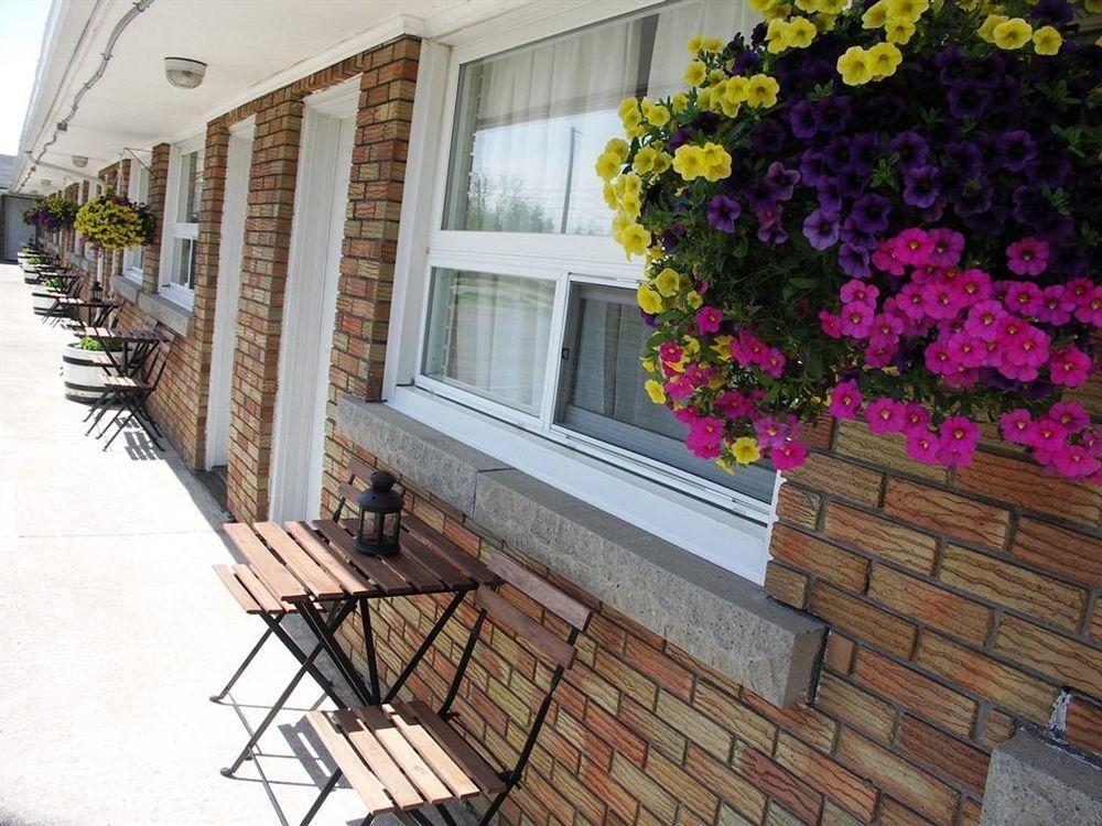 The Rex Motel At Niagara Falls Ngoại thất bức ảnh